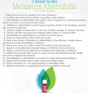 Melaleuca Alternifolia v1.1
